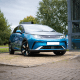 what does byd stand for