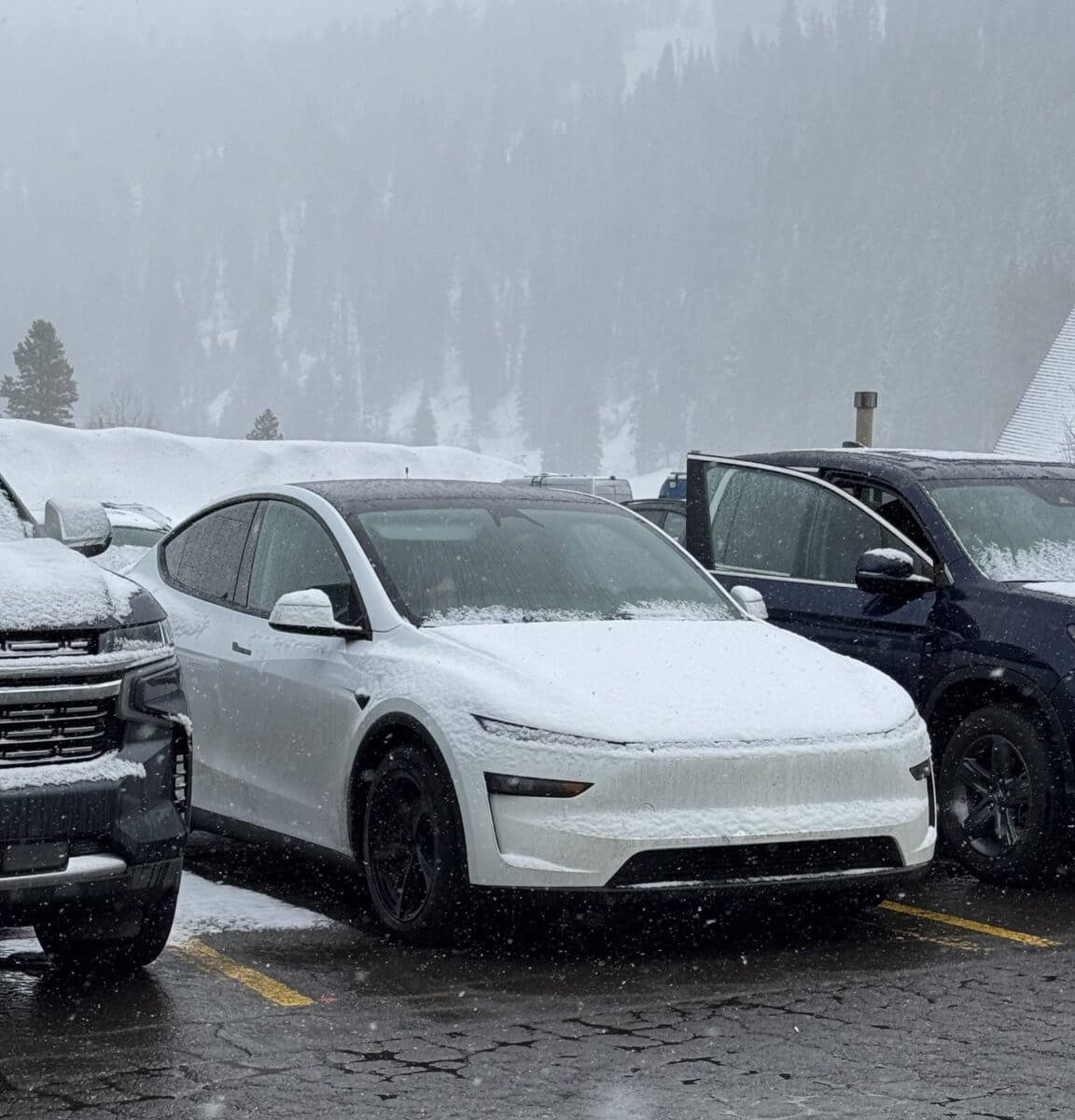 tesla model y tahoe reddit battlerobot 1154x1536 1 e1750413950467