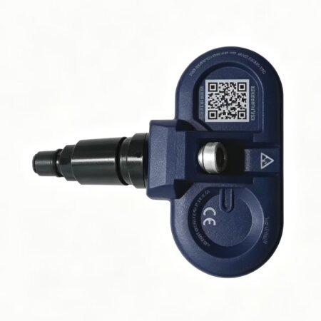 Tesla Tire Pressure Sensor