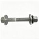 Tesla Eccentric Screw